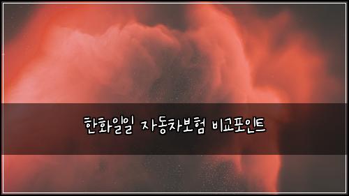 ํํ์ผ์ผ ์๋์ฐจ๋ณดํ ๋น๊ตํฌ์ธํธ