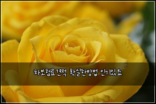 ์ฐจ๋ณดํ๋ฃ๊ฒฌ์ ํ์คํ๋ฐฉ๋ฒ ์ธ๊ธฐ์์ฃ