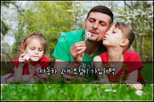 자동차 2대 보험비 가입혜택