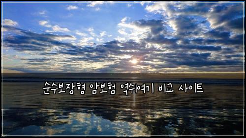순수보장형 암보험 역쉬여기  비교 사이트