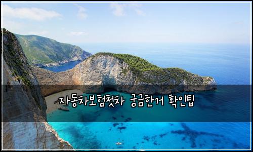 자동차보험첫차 궁금한거 확인팁