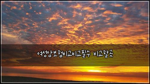 ์ฌ์ฑ์๋ณดํ๋น๊ต๋น๊ตํ์ ๋น๊ตํ ๊ณณ