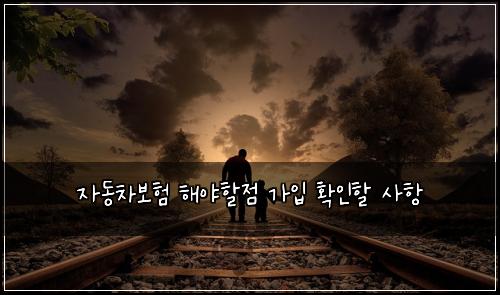 ์๋์ฐจ๋ณดํ ํด์ผํ ์ ๊ฐ์
ํ์ธํ ์ฌํญ