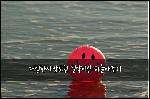 저렴한사망보험 절약비법  하늘애정기