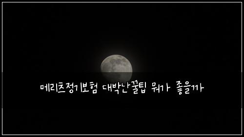 ๋ฉ๋ฆฌ์ธ ์ ๊ธฐ๋ณดํ ๋๋ฐ๋๊ฟํ ๋ญ๊ฐ ์ข์๊น