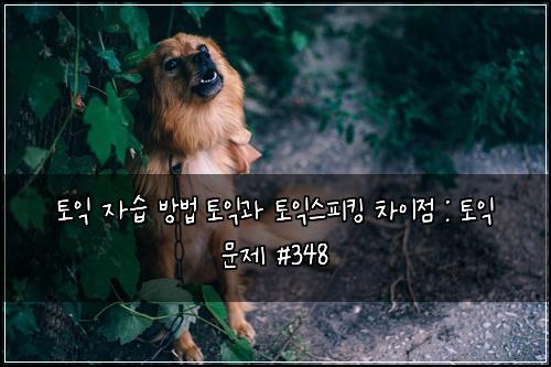 토익 자습 방법 토익과 토익스피킹 차이점 : 토익 문제 #348
