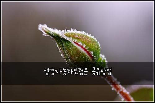 μλͺ
μλ차보νμ 곡μ λ°©λ²
