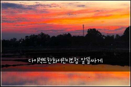 ๋ค์ด๋ ํธํํ์ด๋ฆฐ์ด๋ณดํ ์๋ฐ์ธ๊ฒ