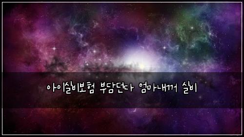 아이실비보험 부담던다  엄마내꺼 실비