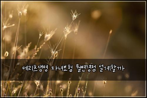 메리츠생명 자녀보험 월변경점  설계할까