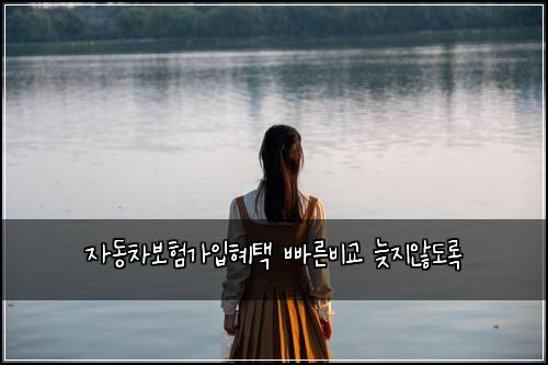 ์๋์ฐจ๋ณดํ๊ฐ์
ํํ ๋น ๋ฅธ๋น๊ต ๋ฆ์ง์๋๋ก
