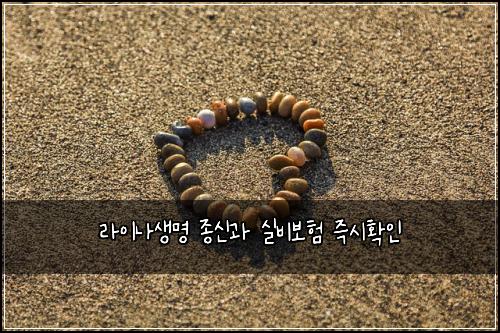 라이나생명 종신과 실비보험 즉시확인 