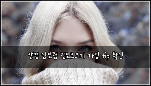 생명 암보험 정보모으기  가입 tip 확인
