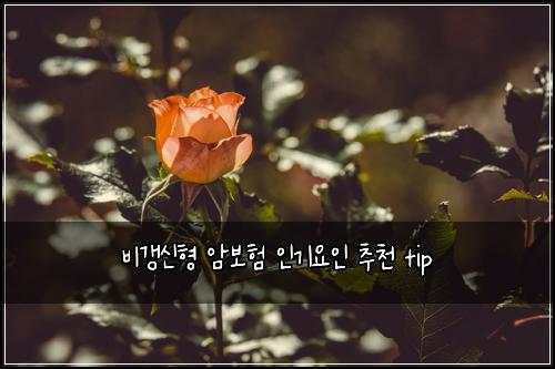 비갱신형 암보험 인기요인  추천 tip
