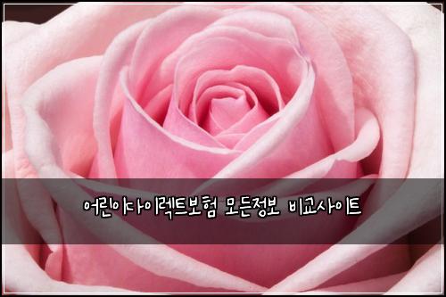 어린이다이렉트보험 모든정보  비교사이트