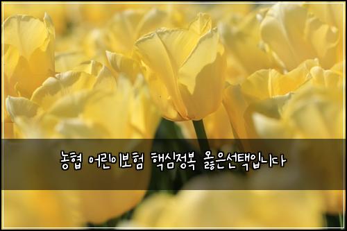 농협 어린이보험 핵심정복  옳은선택입니다