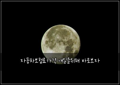 자동차보험료가격 내일을위해 바로보자
