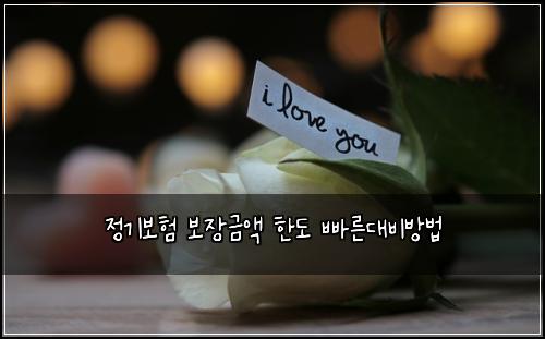 ์ ๊ธฐ๋ณดํ ๋ณด์ฅ๊ธ์ก ํ๋ ๋น ๋ฅธ๋๋น๋ฐฉ๋ฒ