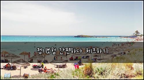 정기보험 간편하다  체크하기