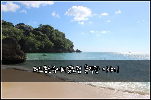 처브종신유니버셜보험 솔직한 이야기