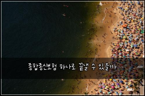 종합종신보험 하나로 끝낼 수 있을까