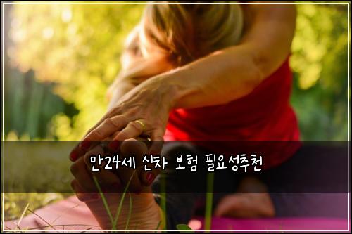 만24세 신차 보험 필요성추천 
