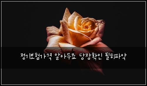 μ 기보νκ°κ²© μμλμ£ λΉμ₯νμΈ νννμ