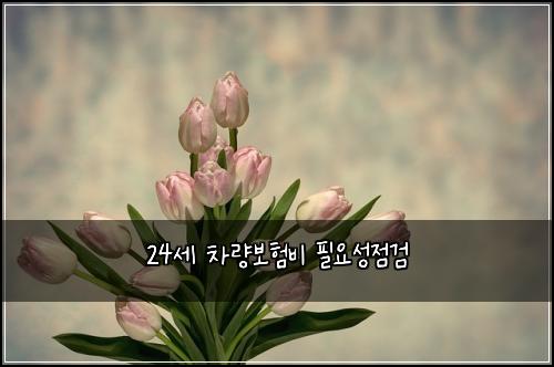 24세 차량보험비 필요성점검