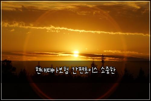현대태아보험 간편초이스  소중한