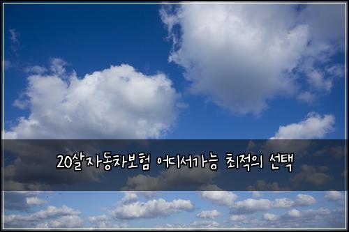 20살자동차보험 어디서가능  최적의 선택