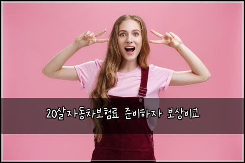 20살자동차보험료 준비하자 보상비교