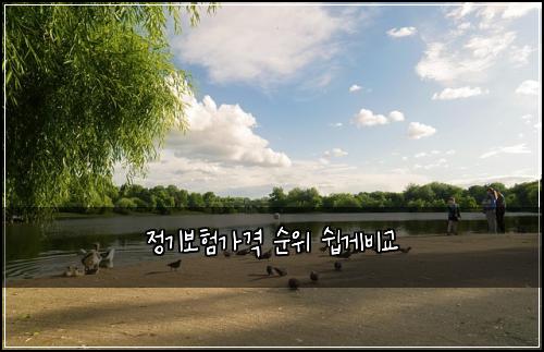정기보험가격 순위 쉽게비교
