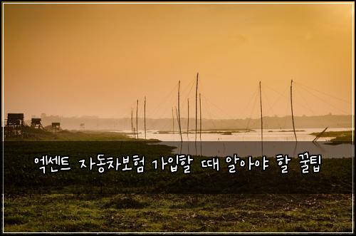 엑센트 자동차보험 가입할 때 알아야 할 꿀팁