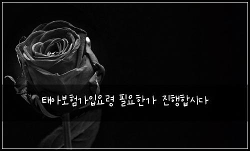 태아보험가입요령 필요한가 진행합시다