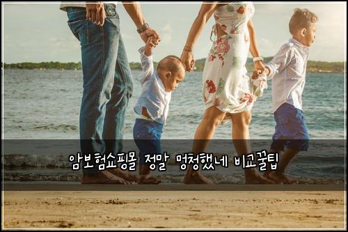 암보험쇼핑몰 정말 멍청했네 비교꿀팁