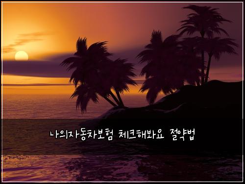 나의자동차보험 체크해봐요  절약법
