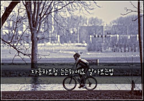 ์๋์ฐจ๋ณดํ ๋ ๋ ํ์ธ์ ์์๋ณด๋๋ฒ