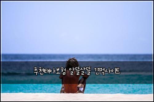 ์ถ์ฒํ์๋ณดํ ์๋ฐ์ด๋ฐ ๊ฒฌ์ ์ฌ์ดํธ