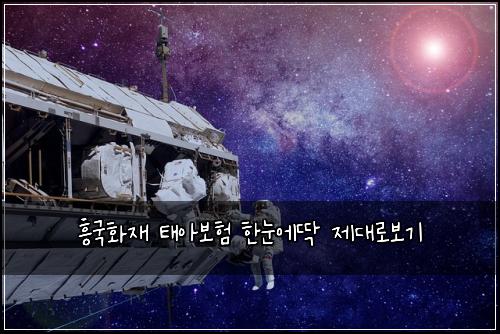 ν₯κ΅νμ¬ νμ보ν νλμλ± μ λλ‘보기