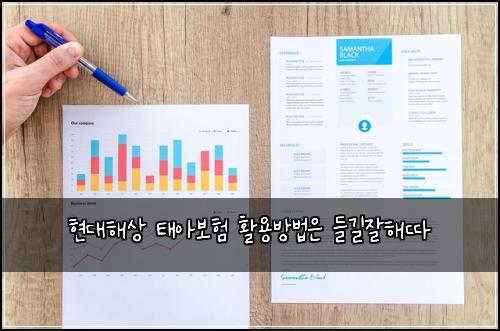 현대해상 태아보험 활용방법은  들길잘해따