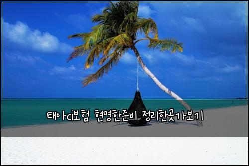 태아ci보험 현명한준비  정리한곳가보기