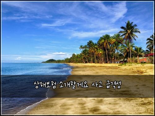 ์ํด๋ณดํ ์๊ฐํ ๊ฒ์ ์ฌ๊ณ ๊ธ๊ฒฉ์ฑ
