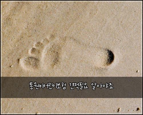 통원비어린이보험 견적필요  알아야죠