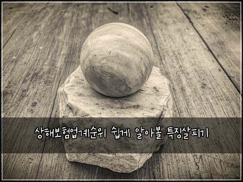 상해보험업계순위 쉽게 알아볼 특징살피기