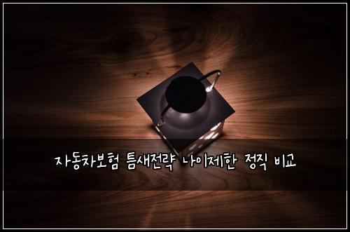 ์๋์ฐจ๋ณดํ ํ์์ ๋ต ๋์ด์ ํ ์ ์ง ๋น๊ต