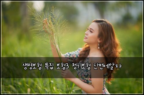์๋ช
๋ณดํ ํน์ง ๋ณดํ3 ์ ๊ธฐ๋ณดํ ๋จ๋ฒ์์์
