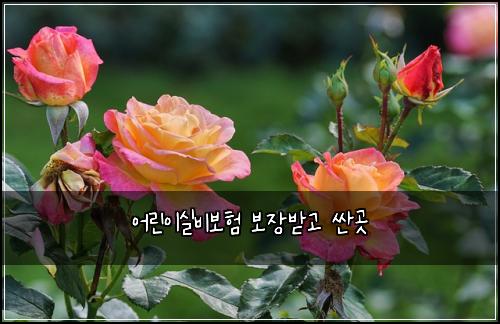어린이실비보험 보장받고  싼곳