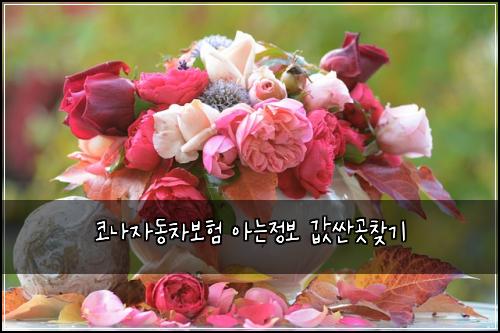 ์ฝ๋์๋์ฐจ๋ณดํ ์๋์ ๋ณด ๊ฐ์ผ๊ณณ์ฐพ๊ธฐ