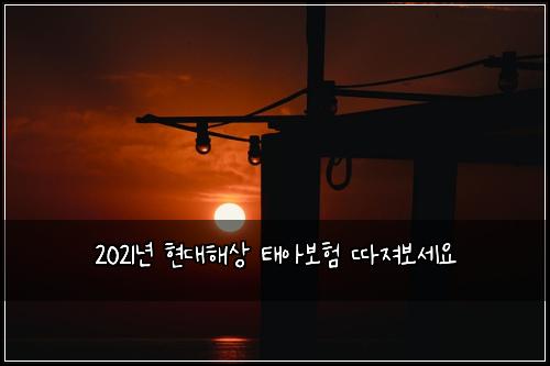 2021๋
ํ๋ํด์ ํ์๋ณดํ ๋ฐ์ ธ๋ณด์ธ์