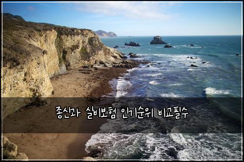 종신과 실비보험 인기순위  비교필수
